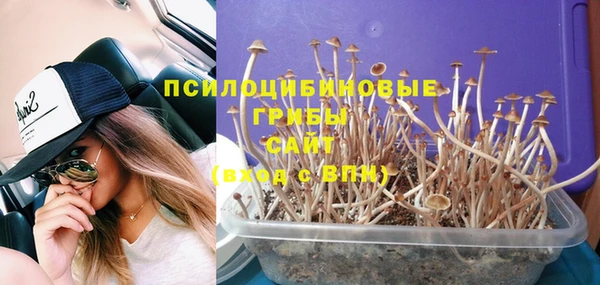 бошки Абинск