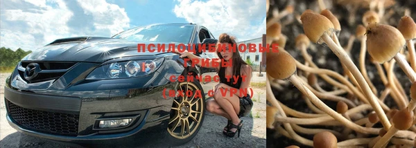 бошки Абинск