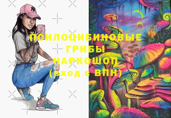 бошки Абинск